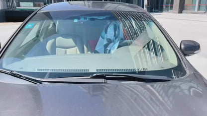 Parasol Ojos Cars: Escudo Térmico para tu Coche